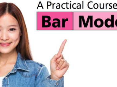 A Practical Course On Bar Models